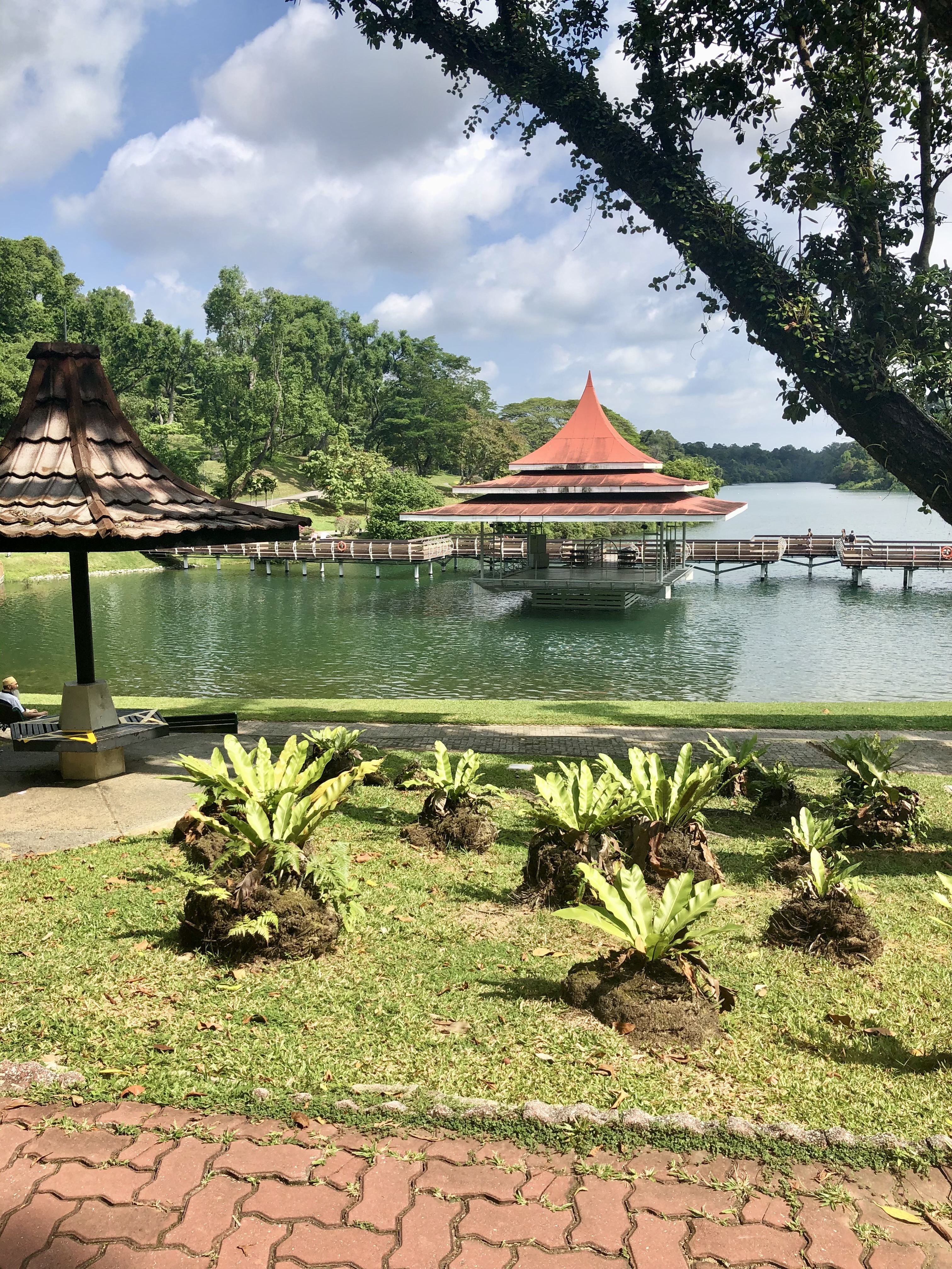 Free Family Activities in Singapore